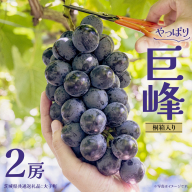 【桐箱入り】 巨峰 ２房 (茨城県共通返礼品：大子町) ぶどう 葡萄 ブドウ フルーツ 果物 スイーツ ギフト 贈答用 贈り物 プレゼント
