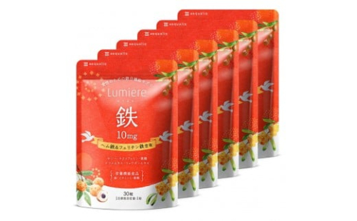 鉄分 サプリ ルミエル 鉄 10mg フェリチン鉄 ヘム鉄 葉酸 栄養機能食品 6袋（6ヶ月分） 2237780 - 静岡県静岡市