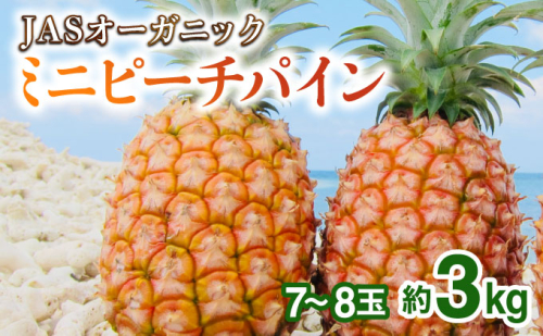 2026年 先行予約 パイナップル ついに実現！転換期間中　JASオーガニック ミニピーチ 3kg (7～8玉) 2237858 - 沖縄県竹富町