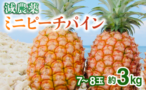 2026年 先行予約 栽培期間中 減農薬 ミニピーチパイン 3kg (7～8玉) 2237877 - 沖縄県竹富町