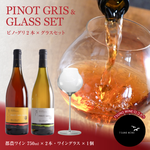 先行予約≪数量限定≫都農ワイン ピノグリ2本&グラスセット 酒 飲料 アルコール 国産 ロナ_T014-021 2237949 - 宮崎県都農町