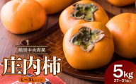 【令和7年産先行予約】 庄内柿（L～3Lサイズ） 5kg (27~31個)　株式会社 鶴岡中央青果