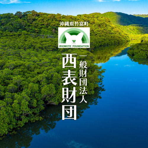 一般財団法人西表財団 2238028 - 沖縄県竹富町