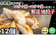 有機 葉 ニンニク と 四万十豚 で作った 最高級 餃子 （ 6個入り x 2パック ）ぎょうざ ギョウザ にんにく 高知 野菜 EA0271