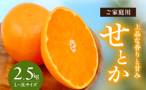 せとか L～3Lサイズ　2.5kg　ご家庭用 2238454 - 愛媛県東温市