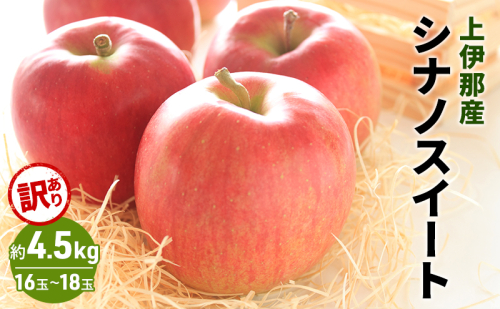 訳あり りんご シナノスイート 4.5kg (16?18玉)  果物  フルーツ 信州 長野 駒ヶ根市 2238495 - 長野県駒ヶ根市