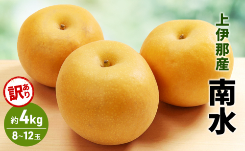 訳あり 梨 南水 4kg (8?12玉)  果物 フルーツ 信州 長野 駒ヶ根市 2238496 - 長野県駒ヶ根市
