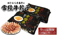 【9ヶ月定期便】ゆきむら壱番亭の常陸牛餃子6パック(96個入り) ※離島への配送不可