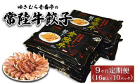 【9ヶ月定期便】ゆきむら壱番亭の常陸牛餃子10パック(160個入り) ※離島への配送不可