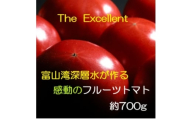 お試しサイズ!フルーツトマト「深層水トマト」約700g【1650498】