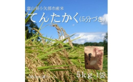 ＜2025年9月上旬頃から順次発送＞令和7年産米「てんたかく」(5分づき)5kg×1袋【1655818】