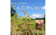 ＜2025年9月上旬頃から順次発送＞令和7年産米「てんたかく」(精米)5kg×1袋【1655821】