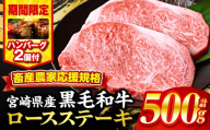 【2025年10月発送】【期間・数量限定】畜産農家応援！宮崎県産黒毛和牛ロースステーキ250g×2・国産牛ハンバーグ100g×2個_M132-091-B2-oct