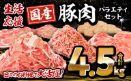 【2025年12月発送】大満足豚肉ロースバラエティセット4.5kg_M132-094-dec