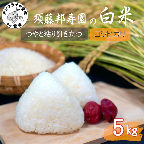 【 令和7年 新米 】須藤邦寿園の白米 コシヒカリ5kg( 米 コメ お米 コシヒカリ こしひかり 5kg 5キロ 甘い 甘み 粘り 精米 国産 送料無料 )【B6-051】 2239366 - 長崎県松浦市
