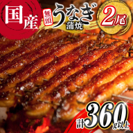 うなぎ 鰻楽 国産 蒲焼 2尾 計360g以上 無頭 高評価 おすすめ 冷凍 簡単調理 個包装 鰻 魚介 贈答品 ギフト 贈り物【B555-mult】