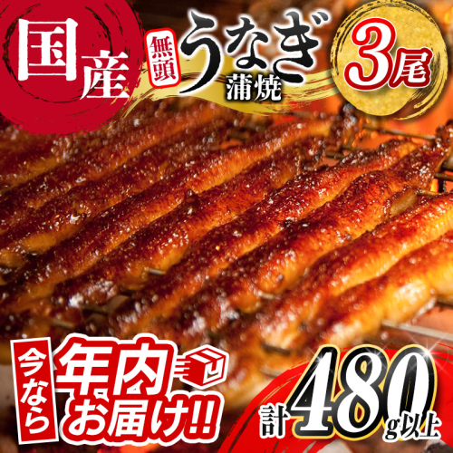 ＜今なら年内お届け!!＞うなぎ 鰻楽 国産 蒲焼 3尾 計480g以上 無頭 高評価 おすすめ 冷凍 簡単調理 個包装 鰻 魚介 贈答品 ギフト 贈り物【C444-mult】 2239510 - 宮崎県新富町