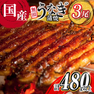 うなぎ 鰻楽 国産 蒲焼 3尾 計480g以上 無頭 高評価 おすすめ 冷凍 簡単調理 個包装 鰻 魚介 贈答品 ギフト 贈り物【C444-mult】