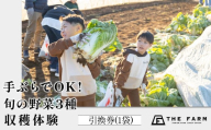 手ぶらでOK!THE FARMの旬の野菜収穫体験引換券(1袋) KTRC010