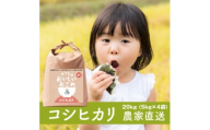 新米【令和7年産】無洗米 コシヒカリ 20kg (5kg×4) 稲敷市産 農家直送｜米 こめ コメ ごはん ご飯 [1627]
