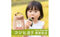 新米【定期便／3ヶ月 令和7年産】無洗米 コシヒカリ (10kg×3回) 稲敷市産 農家直送｜米 こめ コメ ごはん ご飯 [1628]