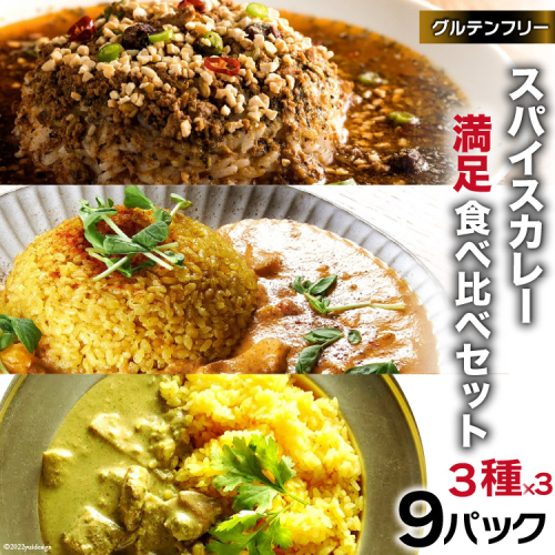 BG028 スパイスカレー 満足食べ比べセット 3種類 150g×各3 計9パック [ カレー キーマカレー グリーンカレー バターチキンカレー 冷凍 豚肉 鶏肉 ポークカレー おいしい セット 詰め合わせ 長崎県 島原市 ] 223980 - 長崎県島原市