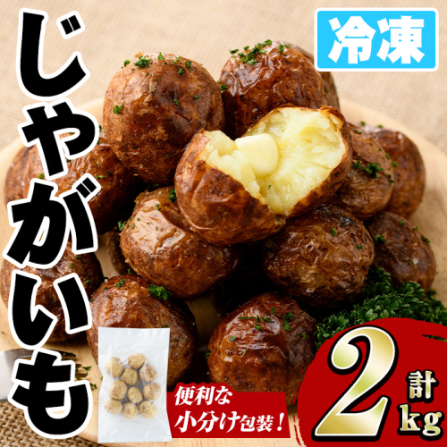 冷凍じゃがいも (計2kg・250g×8袋) ジャガイモ ニシユタカ にしゆたか 冷凍 ボイル 小分け 小玉 小さめ フライ アヒージョ スープ カレー シチュー 簡単調理 お弁当 おかず 野菜 赤土 【有限会社やまた水産食品】akn036-05 2239945 - 鹿児島県阿久根市