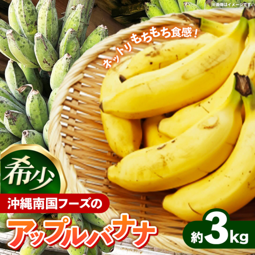 国産 希少種！南国フーズのアップルバナナ 約3kg - バナナ ばなな 小ぶり 沖縄県 産地直送 果物 フルーツ 南国 朝食 おすすめ 沖縄県 八重瀬町 2240088 - 沖縄県八重瀬町