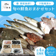 【定期便】鮮度抜群！旬の鮮魚おまかせセット 食べきり6パック セット｜定期便 4回 海鮮 鮮魚 魚 下処理済 新鮮 海鮮盛り合わせ 詰め合わせ 人気 おすすめ 愛知県 美浜町 ※北海道・沖縄・離島への配送不可