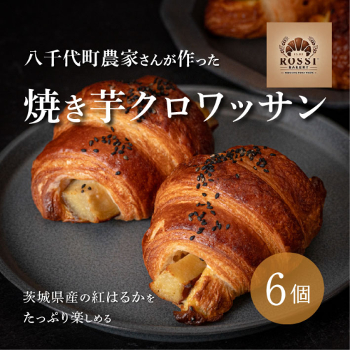 焼き芋 クロワッサン 八千代町産 紅はるか使用 さつまいも パン お菓子 スイーツ デザート 芋 いも 焼いも ふるさと納税 8000円 濃厚 [DF001ya] 2240105 - 茨城県八千代町