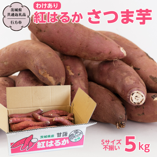 【訳あり】 紅はるか さつま芋 5kg Sサイズ不揃い 【茨城県共通返礼品／行方市】 訳あり 国産 茨城 さつまいも 芋 塚田商店 [EE001sa] 2240536 - 茨城県桜川市