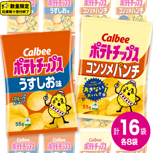 カルビー ポテトチップス レギュラー サイズ 2種類 詰め合わせ 16袋（ うすしお ／ コンソメ ） 2240545 - 茨城県牛久市