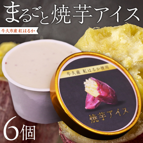 牛久市産 紅はるか 使用 焼き芋アイス 6個 入り アイスクリーム さつまいもスイーツ 焼き芋味 べにはるか 夏 アイス ギフト さつま芋 味 焼き芋 味 サツマイモ 冷凍 贈り物 2240550 - 茨城県牛久市
