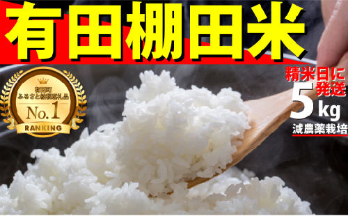 ＜予約受付＞【10月下旬より順次発送】【数量限定】令和7年産 有田 棚田米 5kg 米【みゆきファーム】精米済 白米 5kg 減農薬 organic 棚田米 有田町 令和7年度産 新米 K14-12 2240693 - 佐賀県有田町