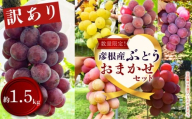 【先行予約 9月1日から発送】訳あり！ ぶどう 詰め合わせ 約1.5kg （小房 約1.2kg＋小粒パック 約350g） 食べ比べ ピオーネ 藤稔 紅伊豆 安芸クイーン 多摩ゆたか ゴルビー 果物 くだもの フルーツ デザート  ブドウ 葡萄 詰合せ 期間限定 おまかせ 訳あり 品種おまかせ 数量限定 品種 夏 秋 9月 不揃い 滋賀 彦根