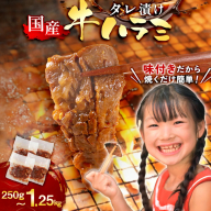 牛肉 焼肉 選べる 内容量 国産 特製たれ漬 牛ハラミ サガリ 250g～1250g [宇美ホルモン 福岡県 宇美町 um40azp100001] ハラミ はらみ 牛はらみ 牛 肉 焼き肉 ホルモン タレ漬け たれ漬け