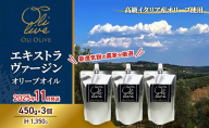 高級イタリア産 エキストラ・ヴァージン・オリーブオイル 450g×3個【2025年11月中旬より順次発送】調味料 油 オリーブ油 食用油 静岡県 袋井市