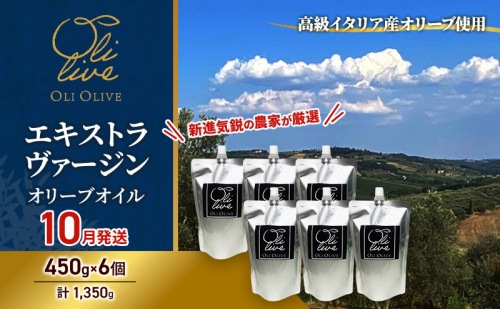 高級イタリア産 エキストラ・ヴァージン・オリーブオイル 450g×6個【2026年10月中旬より順次発送】調味料 油 オリーブ油 食用油 静岡県 袋井市 2240869 - 静岡県袋井市