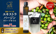 高級イタリア産 エキストラ・ヴァージンオリーブオイル 2種2点　2025年11月中旬から発送      調味料 油 オリーブ油 食用油 静岡県 袋井市