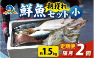 [定期便 隔月2回][朝獲り]漁師厳選 鮮魚セット (小) 3種類以上 約1.5kg 魚 詰め合わせ 新鮮 煮物 焼き物 お造り 刺身 晩酌 食卓 BBQ 急速冷凍 真空パック 鮮魚セット 詰合せ 鮮魚店 厳選 お任せ 鮮度 産直 海鮮 加熱用 福井県 南越前町 越前 盛り合わせ おまかせ お楽しみ おつまみ おかず ご飯のお供 送料無料