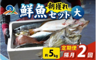 [定期便 隔月2回][朝獲り]漁師厳選 鮮魚セット (大) 5種類以上 約5kg 魚 詰め合わせ 新鮮 煮物 焼き物 お造り 刺身 晩酌 食卓 BBQ 急速冷凍 真空パック 鮮魚セット 詰合せ 鮮魚店 厳選 お任せ 鮮度 産直 海鮮 加熱用 福井県 南越前町 越前 盛り合わせ おまかせ お楽しみ おつまみ おかず ご飯のお供 送料無料