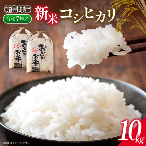 新米コシヒカリ10kg ※令和7年産 宮崎県新富町産【D148】 2240947 - 宮崎県新富町