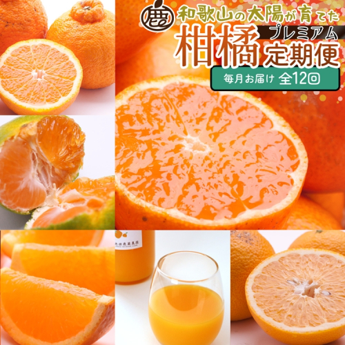 【定期便】厳選 柑橘定期便 S 12回（毎月）※北海道・沖縄・離島への配送不可※毎月発送 2240953 - 和歌山県美浜町