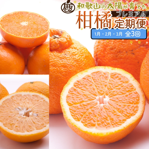 【定期便】厳選 柑橘定期便 S 3回（1～3月）※北海道・沖縄・離島への配送不可※1月・2月・3月に発送 2240956 - 和歌山県美浜町