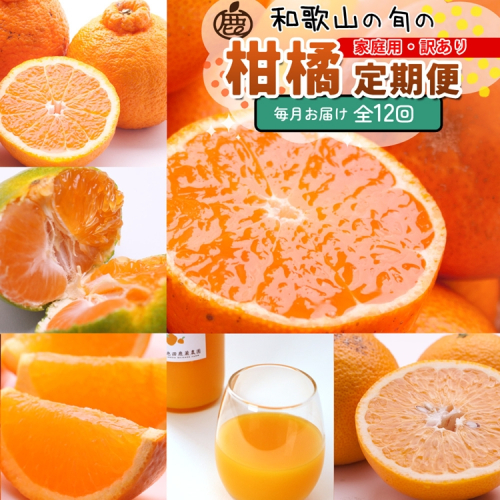 【定期便】家庭用 柑橘定期便 S 12回（毎月）※北海道・沖縄・離島への配送不可※毎月発送 2240960 - 和歌山県美浜町