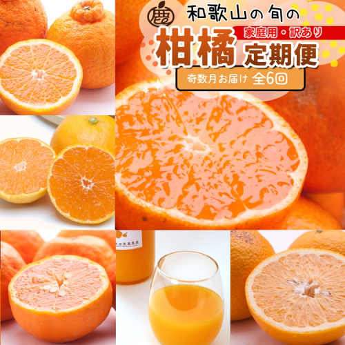 【定期便】家庭用 柑橘定期便 S 6回（奇数月）※北海道・沖縄・離島への配送不可※奇数月に発送 2240961 - 和歌山県美浜町