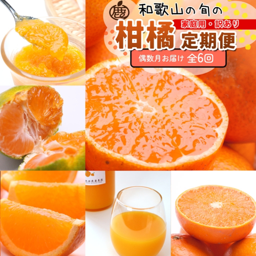 【定期便】家庭用 柑橘定期便 S 6回（偶数月）※北海道・沖縄・離島への配送不可※偶数月に発送 2240962 - 和歌山県美浜町
