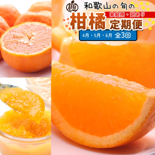 【定期便】家庭用 柑橘定期便 S 3回（4～6月）※北海道・沖縄・離島への配送不可※4月・5月・6月に発送 2240964 - 和歌山県美浜町