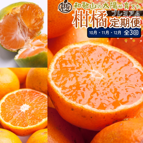 【定期便】厳選 柑橘定期便 M 3回（10～12月）※北海道・沖縄・離島への配送不可※10月・11月・12月に発送 2240973 - 和歌山県美浜町