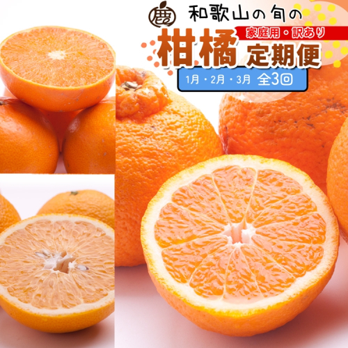 【定期便】家庭用 柑橘定期便 M 3回（1～3月）※北海道・沖縄・離島への配送不可※1月・2月・3月に発送 2240977 - 和歌山県美浜町